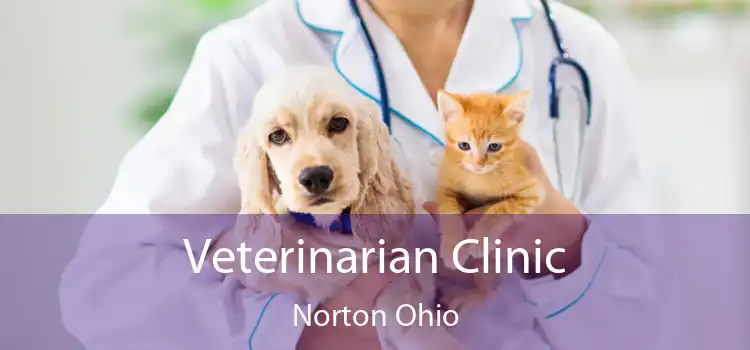 Veterinarian Clinic Norton Ohio