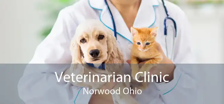 Veterinarian Clinic Norwood Ohio