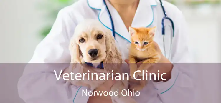 Veterinarian Clinic Norwood Ohio
