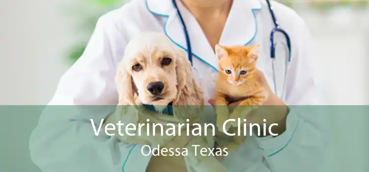 Veterinarian Clinic Odessa Texas