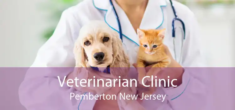 Veterinarian Clinic Pemberton New Jersey