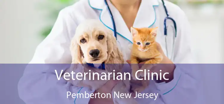 Veterinarian Clinic Pemberton New Jersey