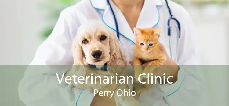Veterinarian Clinic Perry Ohio