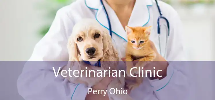 Veterinarian Clinic Perry Ohio