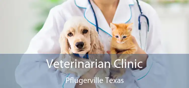 Veterinarian Clinic Pflugerville Texas
