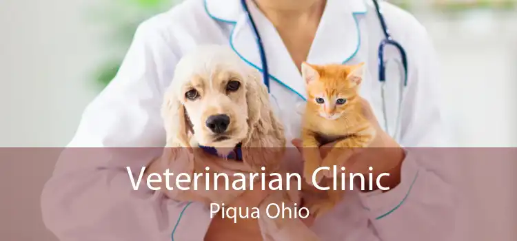 Veterinarian Clinic Piqua Ohio