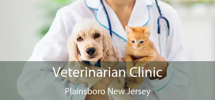 Veterinarian Clinic Plainsboro New Jersey