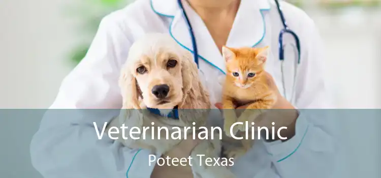Veterinarian Clinic Poteet Texas
