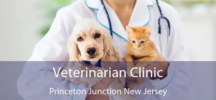 Veterinarian Clinic Princeton Junction New Jersey