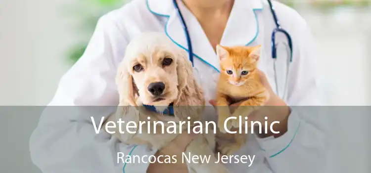 Veterinarian Clinic Rancocas New Jersey