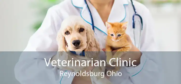 Veterinarian Clinic Reynoldsburg Ohio
