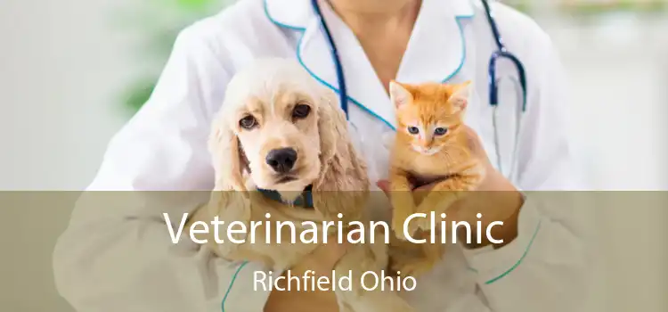 Veterinarian Clinic Richfield Ohio