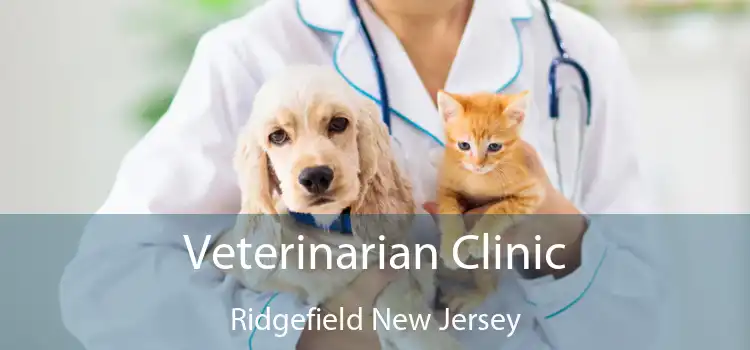 Veterinarian Clinic Ridgefield New Jersey