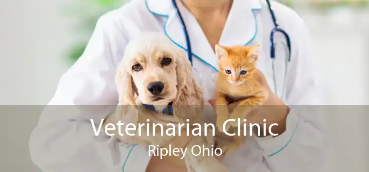 Veterinarian Clinic Ripley Ohio