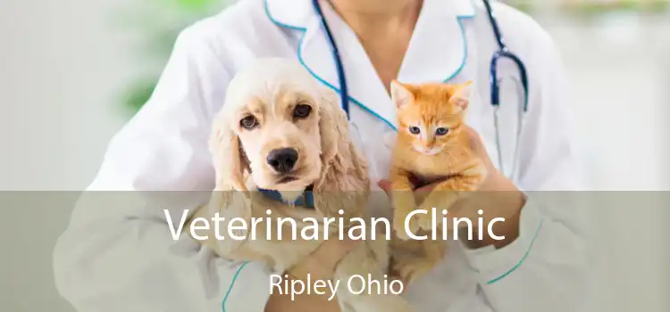 Veterinarian Clinic Ripley Ohio