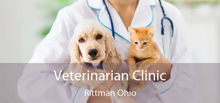 Veterinarian Clinic Rittman Ohio