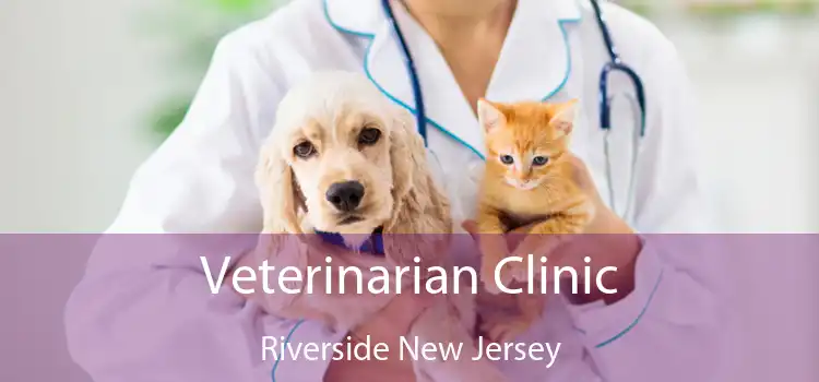 Veterinarian Clinic Riverside New Jersey