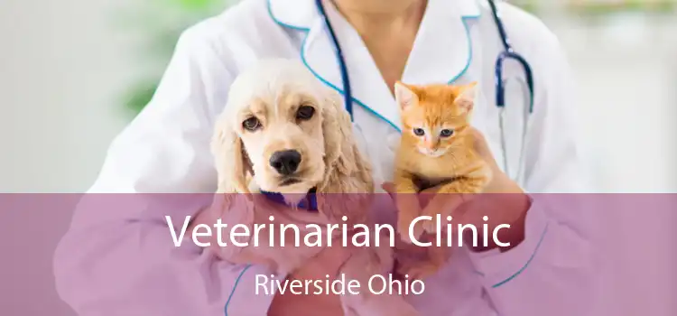 Veterinarian Clinic Riverside Ohio