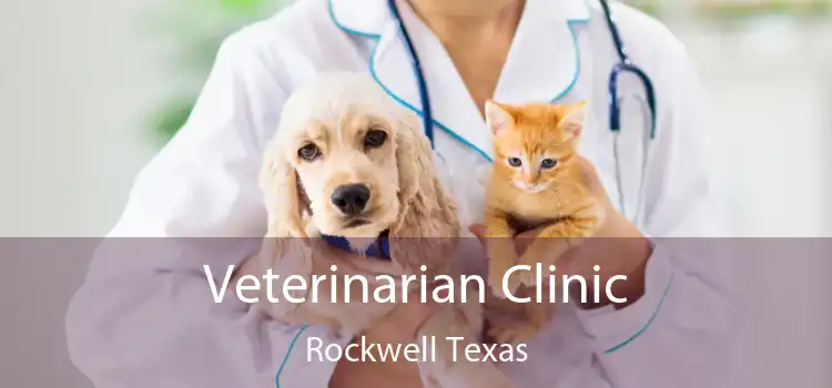 Veterinarian Clinic Rockwell Texas