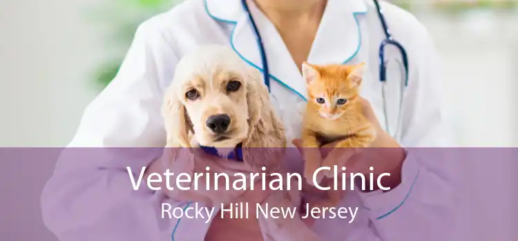 Veterinarian Clinic Rocky Hill New Jersey