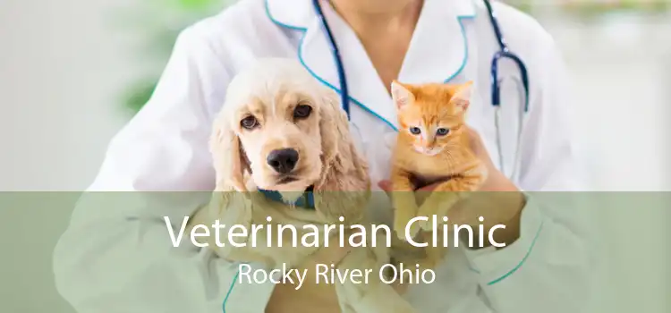Veterinarian Clinic Rocky River Ohio