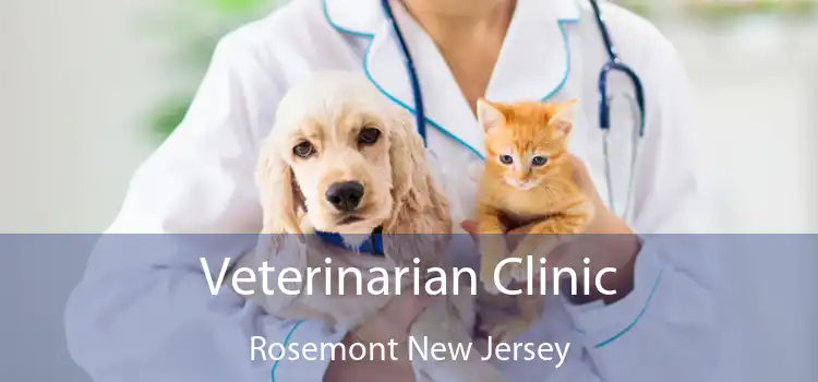 Veterinarian Clinic Rosemont New Jersey