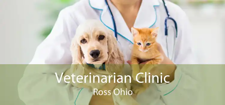 Veterinarian Clinic Ross Ohio