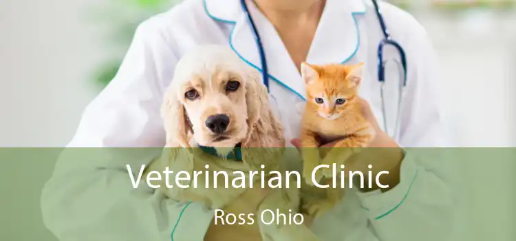 Veterinarian Clinic Ross Ohio