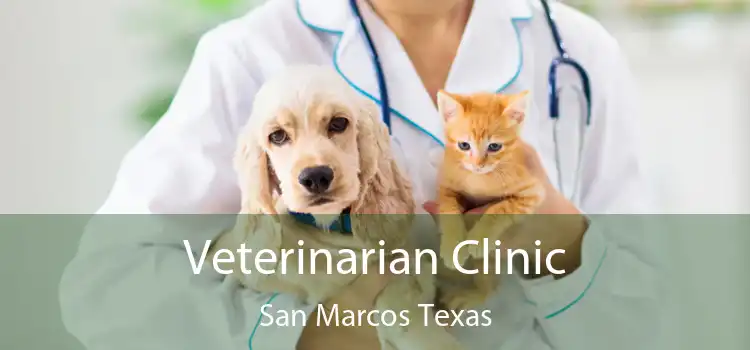Veterinarian Clinic San Marcos Texas