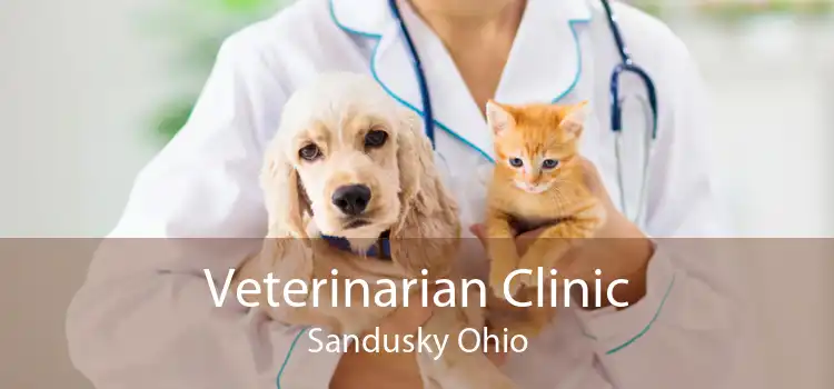 Veterinarian Clinic Sandusky Ohio