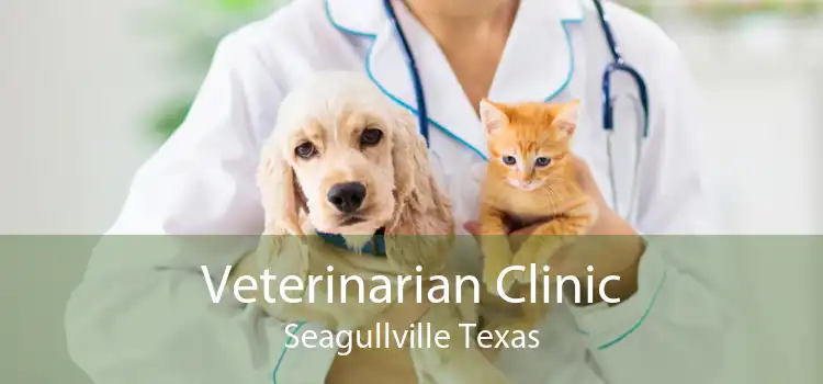 Veterinarian Clinic Seagullville Texas