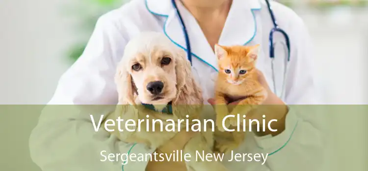 Veterinarian Clinic Sergeantsville New Jersey