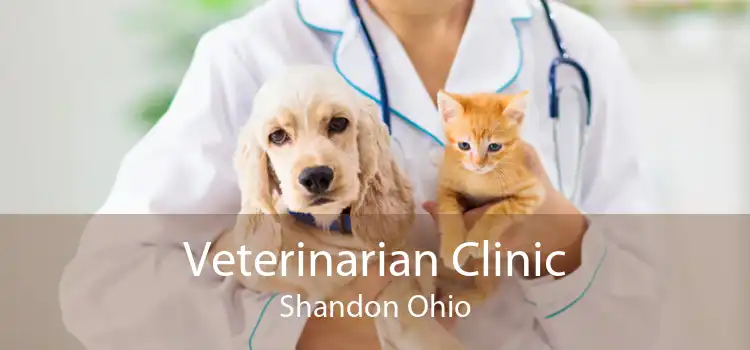 Veterinarian Clinic Shandon Ohio