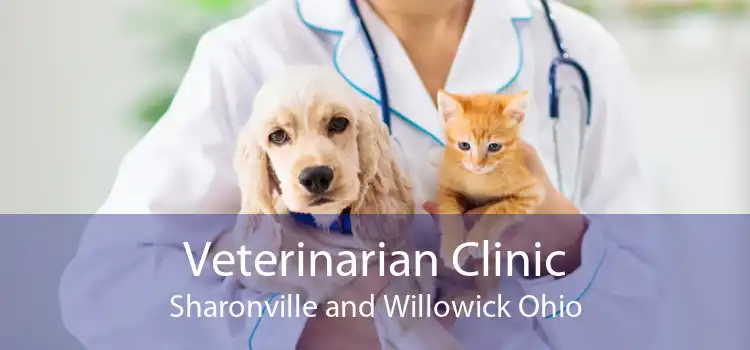 Veterinarian Clinic Sharonville and Willowick Ohio