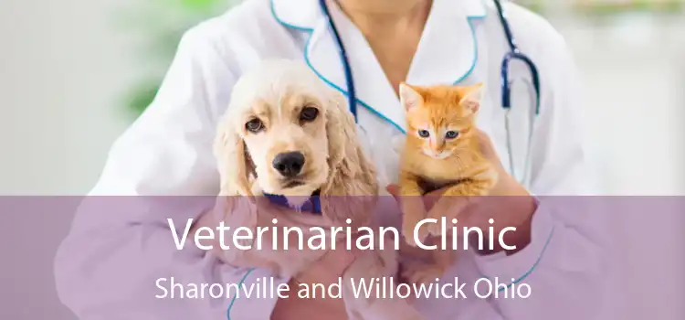 Veterinarian Clinic Sharonville and Willowick Ohio