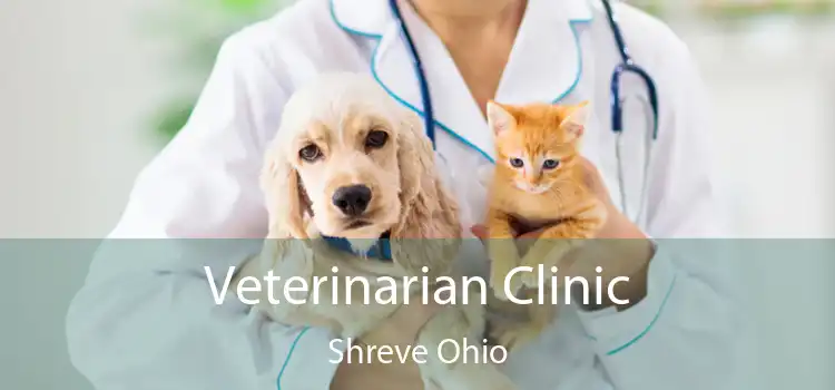 Veterinarian Clinic Shreve Ohio