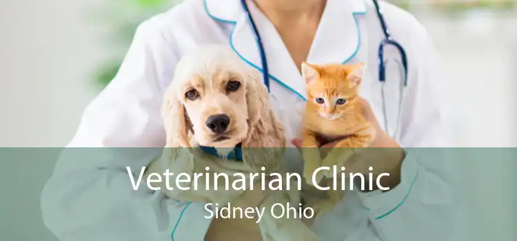 Veterinarian Clinic Sidney Ohio
