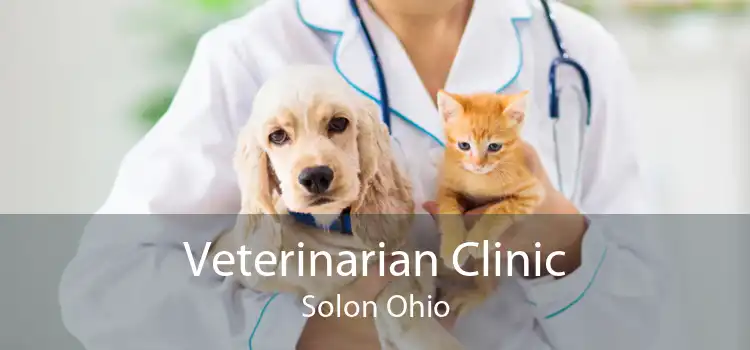 Veterinarian Clinic Solon Ohio