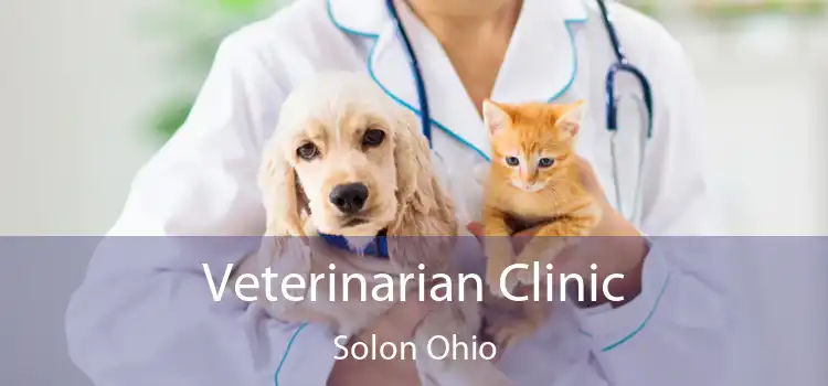 Veterinarian Clinic Solon Ohio