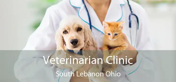 Veterinarian Clinic South Lebanon Ohio