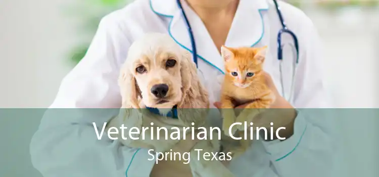 Veterinarian Clinic Spring Texas