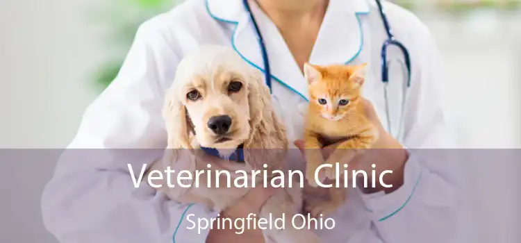 Veterinarian Clinic Springfield Ohio