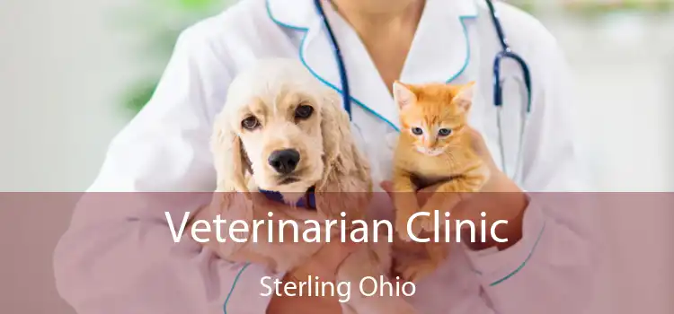 Veterinarian Clinic Sterling Ohio