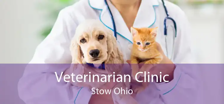 Veterinarian Clinic Stow Ohio