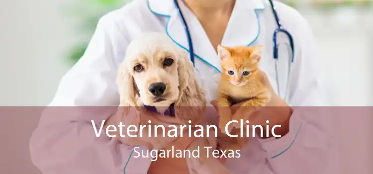 Veterinarian Clinic Sugarland Texas