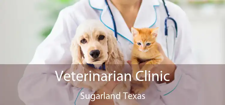 Veterinarian Clinic Sugarland Texas
