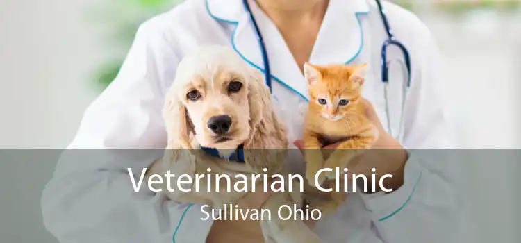 Veterinarian Clinic Sullivan Ohio