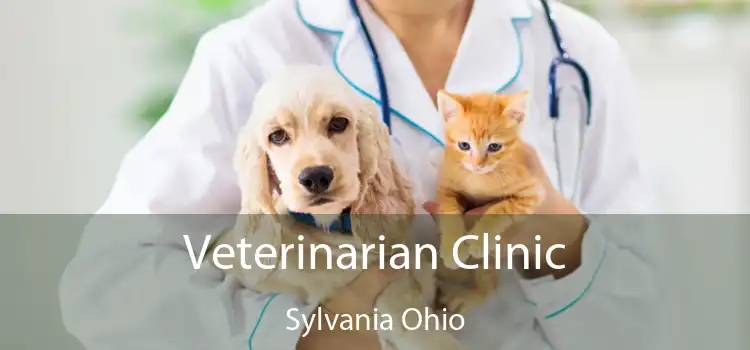 Veterinarian Clinic Sylvania Ohio