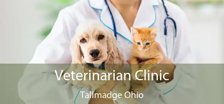 Veterinarian Clinic Tallmadge Ohio