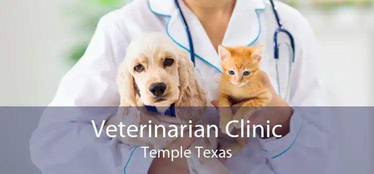 Veterinarian Clinic Temple Texas
